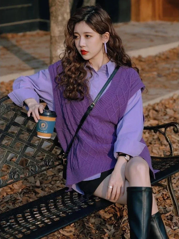 Winter Clothing Trends - Waistcoat Purple V-neck Lady Sweaters Loose
