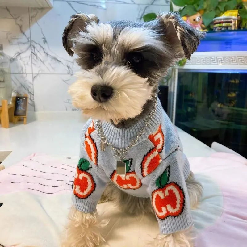 Letter Sweater Pet Dog Clothes - огляд і ціна Winter Clothing For Kids