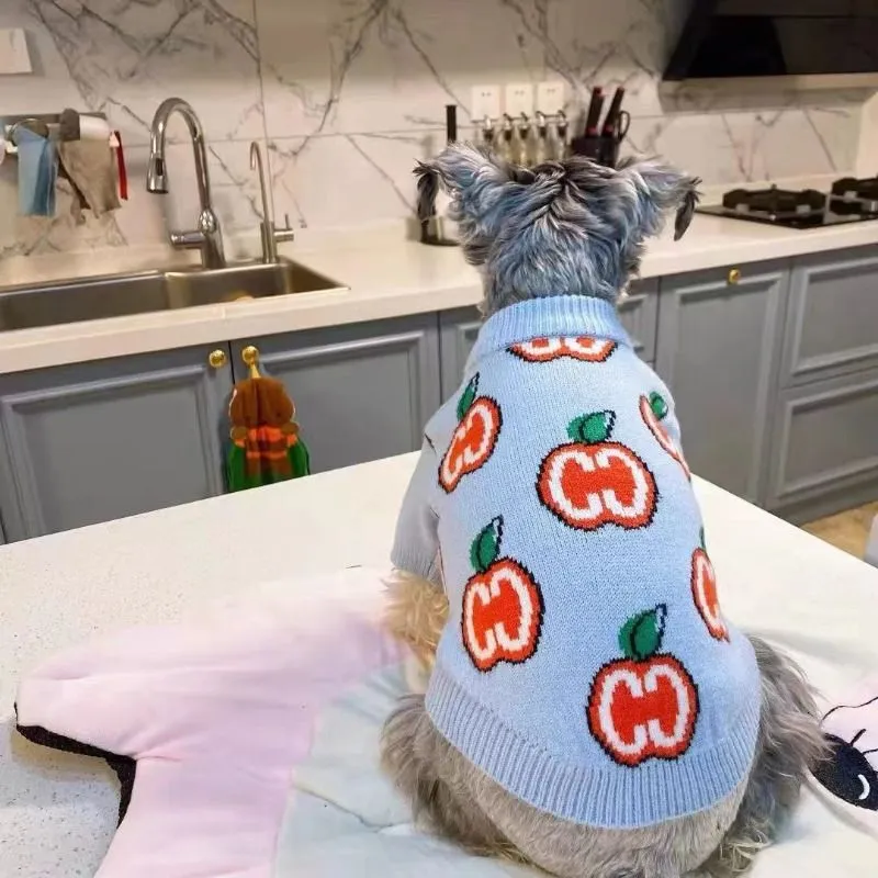 Letter Sweater Pet Dog Clothes - огляд і ціна Winter Clothing For Kids