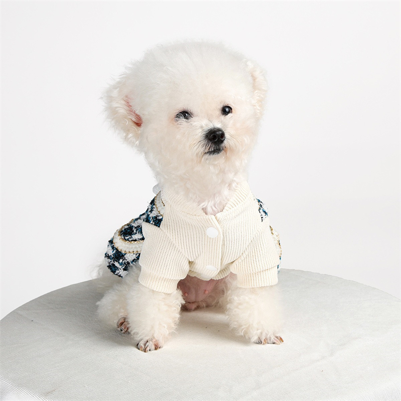 Princess Small Medium Dog Clot - огляд і ціна Winter Clothing For Kids